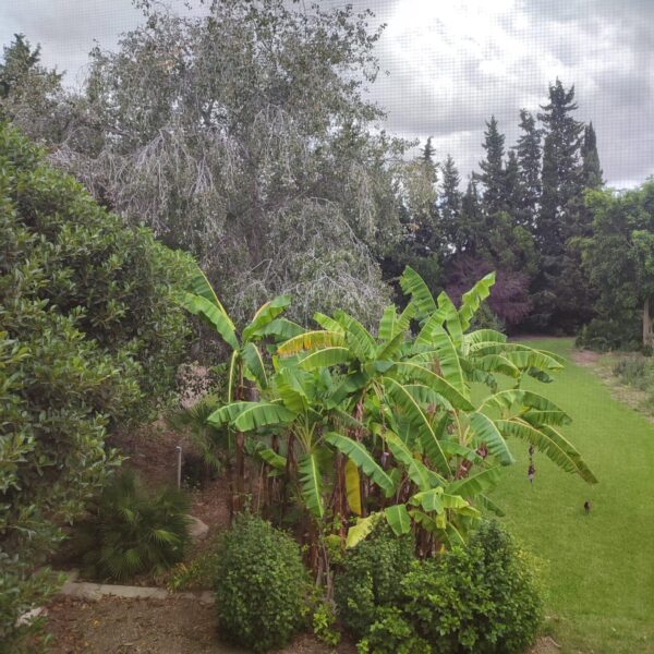 Countryside villa in Daya Nueva - Image 18