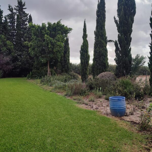 Countryside villa in Daya Nueva - Image 6
